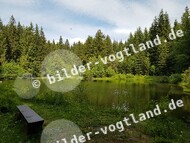 Naturlehrpfad Hüttenbachtal_ Archiv TVV_S. Prelec