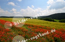 Landschaft bei Linda