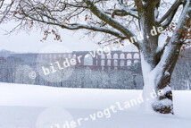 Göltzschtalbrücke im Winter _Archiv TVV _S. Theilig