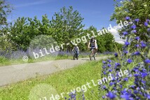 Radweg Falkenstein - Oelsnitz_Archiv TVV_Marcus Dassler