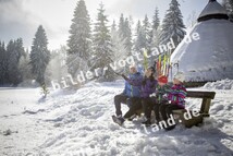 Meiler in Sch&ouml;neck