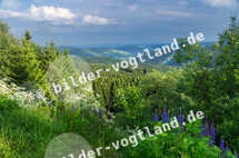 Im Hintergrund ist die Sparkasse Vogtland Arena Klingenthal