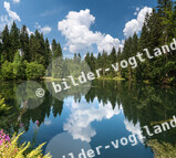 Unterer Floßteich Mühlleithen am Vogtland Panorama Weg und Höhensteig_Archiv TVV_S. Theilig