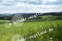 Markneukirchen_Blick vom Bismarck Turm_Archiv TVV_T. Peisker